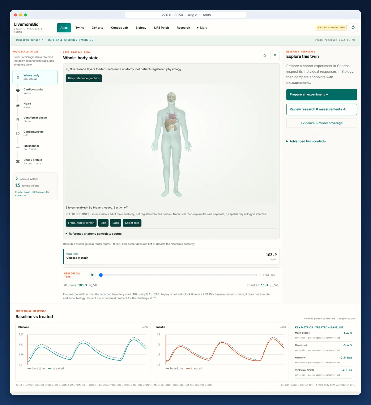 The Aegle console on a fresh install: a whole-body reference anatomy for an admitted research twin, the multiscale atlas from whole body to gene, biological-time replay, and a metformin intervention showing baseline versus treated glucose and insulin traces